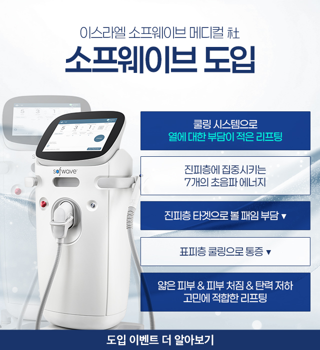 소프웨이브