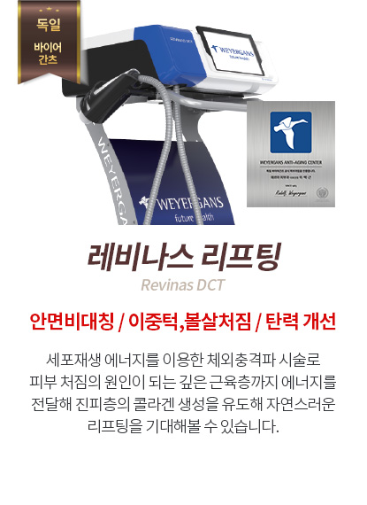 레비나스