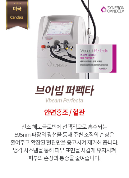 브이빔퍼펙타