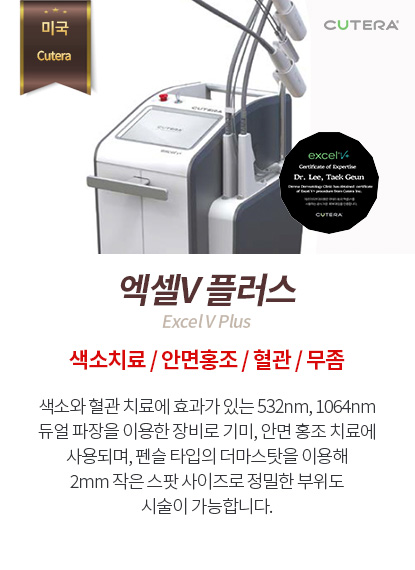 엑셀V플러스