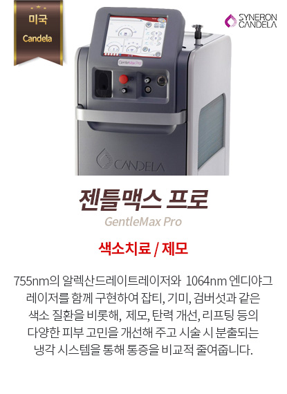 젠틀맥스프로