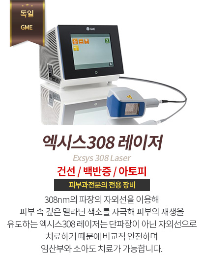 엑시스308