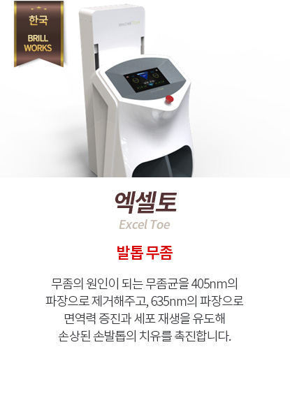 엑셀토